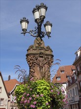 Historic half-timbered houses with floral decorations in Alsace, Wissembourg, France, Europe