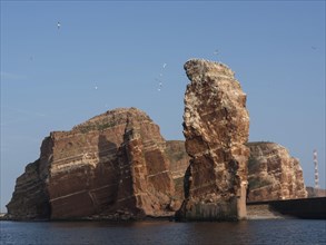 Large rock formation in the sea with flying birds under a clear sky, Heligoland, Germany, Europe