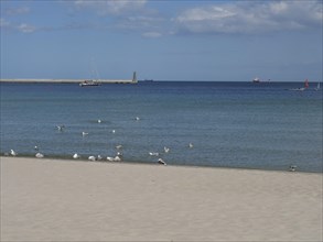 Quiet sandy beach with seagulls on the shore, view of the sea with a sailing boat and a lighthouse