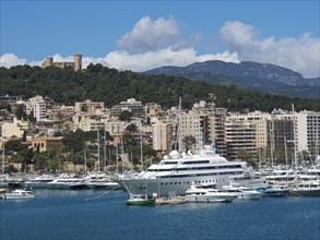 A harbour with numerous yachts in front of a city with buildings and hills in the background, palma
