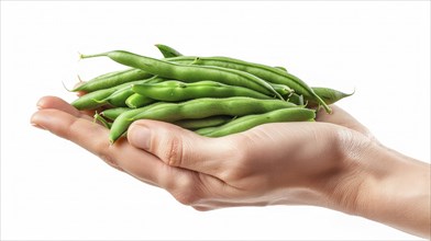 Hand holding fresh green beans against a white background