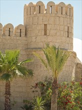 Part of a fortress or castle wall with palm trees and other plants in the foreground, Tunis in