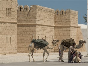 Two men lead camels in front of a sand-coloured fortress along a road, Tunis in Africa with ruins