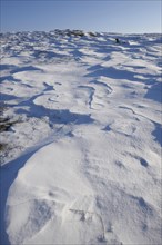 Landscape of wind drifts in the snow in a sunny day in winter, Bavaria, Germany, Europe