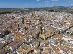 Aerial view of a Spanish old town with many buildings and terracotta-coloured roofs on a sunny day,