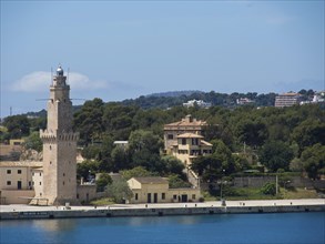 A lighthouse and houses on a coastline, surrounded by trees and with a clear sky in the background,