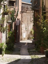 Sunny narrow street in the historic centre, surrounded by old houses and many plants that provide