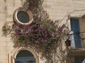 House facade with climbing plants and round windows in a mediterranean atmosphere, the town of