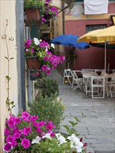 A picturesque alley with blooming flowers, tables, chairs and colourful parasols, Bari, Italy,
