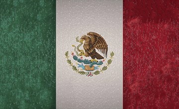 The Mexican flag features green, white, and red vertical stripes with an eagle holding a snake on a
