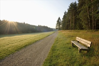 Landscape of a little trail going through a valley in early morning in summer, Bavaria, Germany,