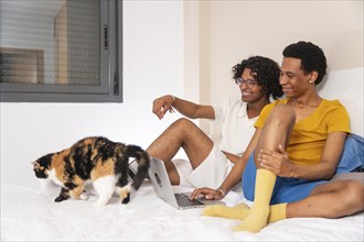 Gay couple using laptop in the bedroom next to a cat