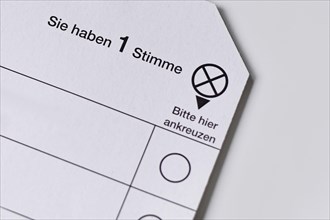 Germany, May 2024: German ballot paper for Elections to the European Parliament, Europe
