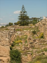 Stone ruins with trees and lawn in the background under a sunny, clear sky, Tunis in Africa with