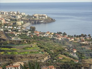 Coastal landscape with houses, green areas and terraced hills leading to the coast, Madeira,