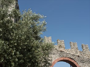 Part of an old stone ruin with plants and clear blue sky in the background, Bari, Italy, Europe