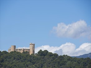 Historic castle on a wooded hill under a clear blue sky with a few clouds, palma de Majorca with