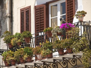 A balcony decorated with flowers, potted plants and open shutters on a sunny day, palermo in sicily
