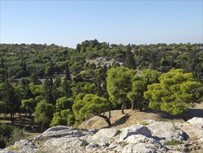 Expansive forest landscape with green trees and rocks under a clear sky, Ancient buildings with