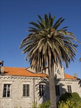 Stone house with red tiled roof and palm trees in front of a clear blue sky, the old town of