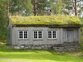 Wooden hut with grass roof and white windows surrounded by trees in a natural environment, grey