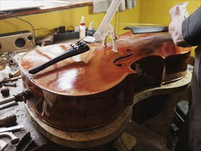Fine craftsmanship of a cello being worked on by a luthier in a yellow and brown workshop