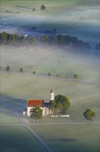 Pilgrimage church of St Coloman, Koenigswinkel, Ostallgaeu, Allgaeu, Bavaria, Germany, Europe