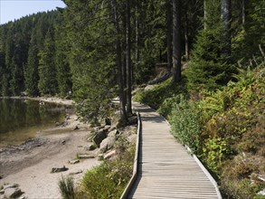 Wooden path along the shore of a wooded and quiet lake, small forest lake in the black forest,
