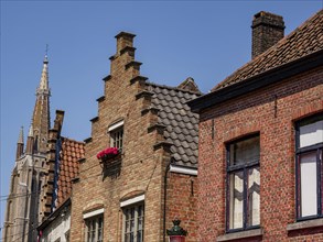 Row of historic brick houses with windows and a large church tower, historic house facades in a