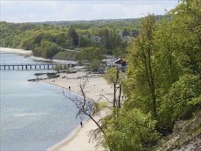 View of a beach with surrounding trees and houses in the background, calm water, Green trees on a