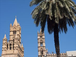 Gothic church towers and palm trees against a clear blue sky, palermo in sicily with an impressive