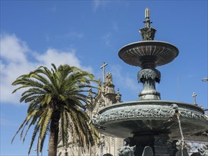 A fountain in front of a church and a palm tree under a clear blue sky, with ornate stone
