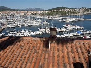 View from a rooftop onto a busy marina with many boats and houses on the hillside, la seyne sur