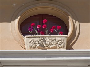An oval window with a decorative flower box full of red flowers in front of it, the town of mdina