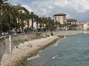 A palm-lined seafront promenade with urban buildings along the calm sea under a slightly cloudy