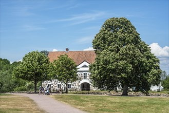 Hovdala Castle with chestnut tree at Haessleholm, Skane County, Sweden, Scandinavia, Europe