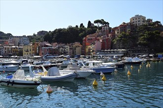 View of Lerici from the sea, Ligurian sea, Liguria, Italy, Europe