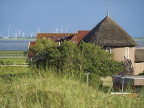 A building with a thatched roof in a lush landscape, wind turbines visible in the background,