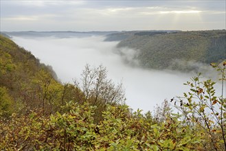 View over the foggy Moselle valley, autumn atmosphere, Moselle, Rhineland-Palatinate, Germany,