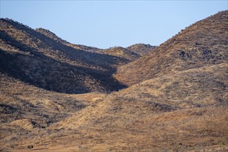 Dry red hills in the evening light, Epupa, Kaokoveld, Kunene, Namibia, Africa