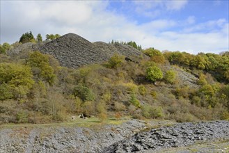 View over slate slopes with autumnal deciduous trees and conifers, blue cloudy sky, Eastern Eifel,