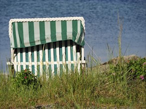 A green striped beach chair on the beach, surrounded by grass and flowers with the sea in the