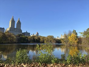 A tranquil lake in central park with reflective skyscrapers and autumn trees in the background, the