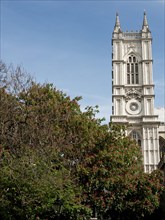 An imposing church tower rises above blossoming trees on a sunny day, London, England, United