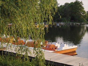Pedal boats at the jetty of a quiet lake, surrounded by hanging branches and nature, jetty at a