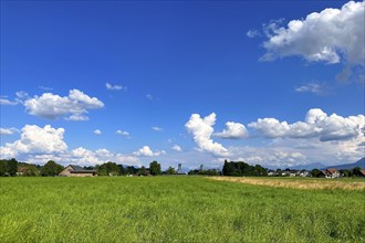 Vast green fields under a bright blue sky with many clouds, idyllic summer landscape, Sempach,