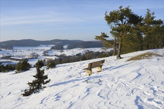 Landscape of a park bench from up a hill on a sunny day in winter, Bavaria, Germany, Europe
