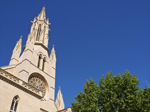 Gothic church with high towers and detailed architecture against a bright blue sky, palma de