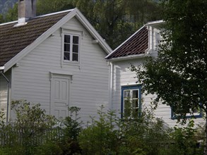 Two white wooden houses with windows, surrounded by a garden and trees in green surroundings, grey