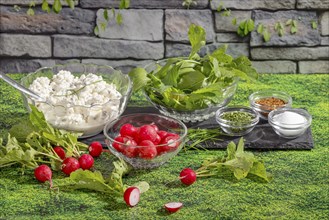 Radishes, cottage cheese, herbs and spices in glass bowls on grass in front of a stone wall